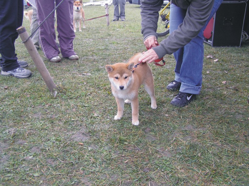 Amee1.jpg