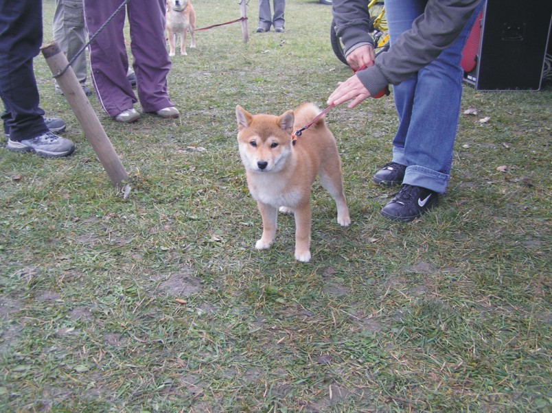 Amee2.jpg