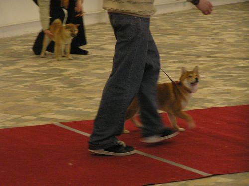 Amee3.jpg